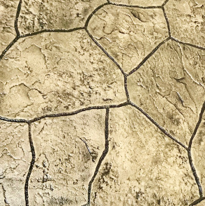 Proline Chesapeake Random Seamless Magnetic Set