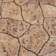 Proline Napa Random Stone Magnetic Stamp